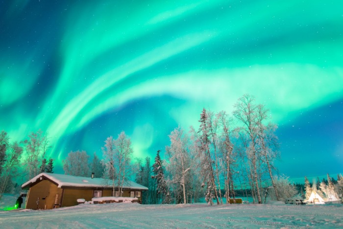 国足教头伊,万谈失利,即便败北亦,UED体育,UED体育app,UED体育官网,UED体育下载,UED体育入口