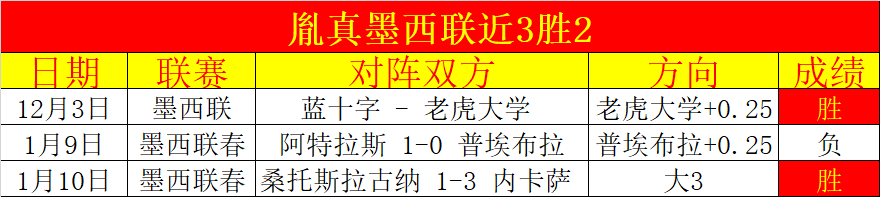 马年新春到,藏历新年喜,庆氛围浓重,UED体育,UED体育app,UED体育官网,UED体育下载,UED体育入口